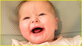 Funny Babies Laughing Hysterically Compilation #6 - Cute Baby Videos