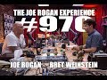 Joe Rogan Experience #970 - Bret Weinstein