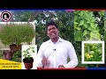 how to keep healthy stomach how to keep healthy digestive system healthy digestive system odia