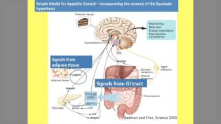 Basic Science World Congress - Keynote Session:  Energy Balance: A Framework for Appetite Regulation