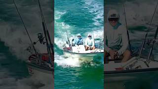 Boston Whaler 110 Sport Miami Beach 2024 #video #miami #whaler