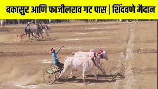 बकासुर आणि फाजील गट पास | शिंदवणे मैदान#bailgadasharyat