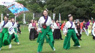 チームわげもん　さん＠2011　あげお元気祭り