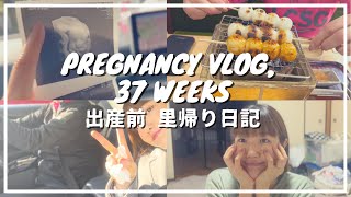 【出産間近】里帰り中の1日ルーティン。 My weekday vlog at 37 weeks pregnant (Eng subs)