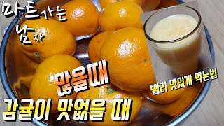 [집밥] 과일 감귤 맛이 없을때 그리고 많이 있을때 쥬스로 만들어 빨리 줄일수 있습니다.