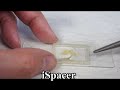 ispacer sample mounting