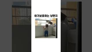 아기보호하는 냥펀치#shorts