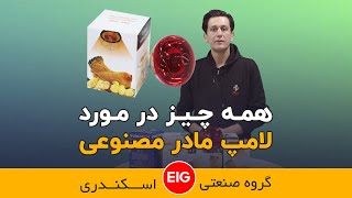 همه چیز در مورد لامپ های مادر مصنوعی