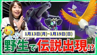 野生で伝説ポケモン出現！？シャドウパルキア・ホウオウだけじゃない!?1月13日~1月19日までの週間攻略ガイド【ポケモンGO】