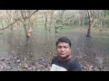 দেবগ্রাম ফরেস্ট গাংনাপুর নদীয়া abblogger debagramforest travel video