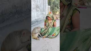 Sawre ko dil me basa kr to dekho krishan_bhakti_ringtone #monkey #funny #funnymonkey #rplovelyvlogs