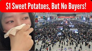 Shanghai Crisis: Homes Abandoned, Sweet Potatoes Too Expensive to Buy!