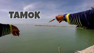 Mancing Tamok @Loban @Belanak ekor kuning di Jeti Nelayan.. Layan.. panas terik tahap 2..