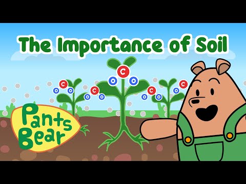 How do you teach soil to preschoolers?