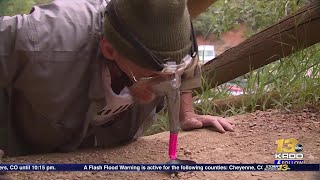 “I’m not nuts”, Man hopes to break record pushing peanut up Pikes Peak