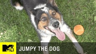 Jumpy: The Smartest Dog in Hollywood | MTV
