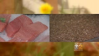 Does The Food You Eat Have An Impact On Your Allergy Symptoms?