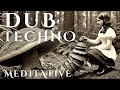Shrooms | Meditative Dub Techno | Shamanic Journey