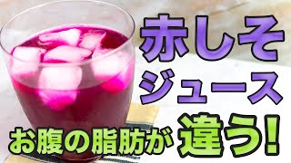 【食材２つで作る】赤しそジュース！かんたんレモン入り【農薬不使用】