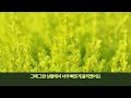 중국반응│한국에서 유학 중인 중국 여대생이 말하는 한국의 다른점│한국 문화 사람 그리고 시설에 감동한 중국 여대생의 솔직한 이야기│한국에서 오래 산 후기 4가지