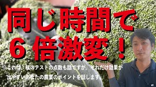 農業収入まずはコレ！決めないと効率悪いです