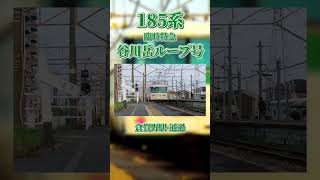 185系 B6編成　臨時特急 谷川岳ループ号　倉賀野駅 通過