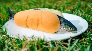 TASTY Trout Catch and Cook!!!
