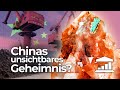 Wie kann CHINA den Westen ERPRESSEN? (Und im TECHNOLOGIE-KRIEG punkten) - VisualPolitik DE