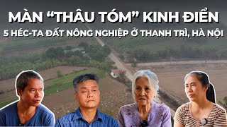 Phóng sự: Màn thâu tóm kinh điển 5ha đất nông nghiệp ở Thanh Trì, Hà Nội #vovgiaothong #fm91