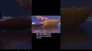Muscles Vs Fat