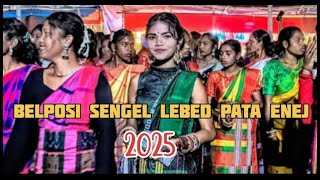 Belposi sengel lebed pata 2025 # jhottro koda vlog