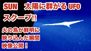 太陽に群がる巨大UFO・火の鳥が鮮明に映り込んだ スクープ 映像公開！