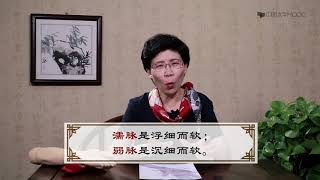 中医诊断学| 10 12 1  5 8 12常见脉象及临床意义——散脉、微脉 坚持看完的在评论区打个卡，关注+点赞，更新更有动力哟~ （更多中医精彩内容，请看视频下方的内容说明） #医中精品