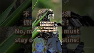 Monkey licking Mumei feathers [中/Eng Sub]