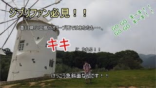 ジブリファン必見！！香川県小豆島の道の駅、オリーブ園ではあなたもキキになれる！！魔女の宅急便！！Kiki's Delivery Service