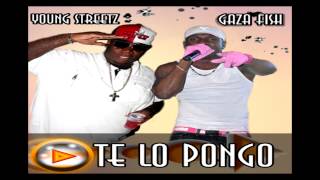 GAZA FISH FT YOUNG STREETZ - TE LO PONGO