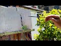 Plein Air oil sketch in my garden | garden tap & flowers