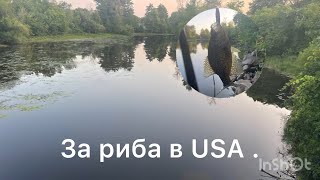 Работа като шофьор в USA . Заплата и живот в Америка.