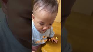 見よ！0歳児の飲みっぷり🤣 #あかちゃん #baby #あかちゃんのいる暮らし #生後8ヵ月 #あかちゃんのいる生活 #癒し動画 #育児 #子育て #可愛い赤ちゃん#飲み #飲みっぷり