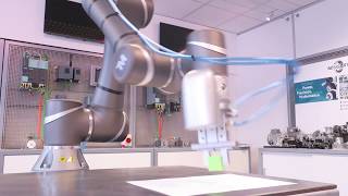 The TM5 Collaborative Robot : Random Selection Example