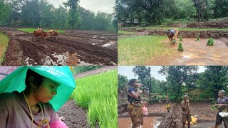 कोकणात भातलावणीला सुरुवात झाली😍 | Rice Farming In Kokan | Kokan Village Vlog | @kokanachilek