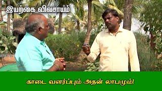 காடை வளர்ப்பும் அதன் லாபமும் | Organic Vivasayi