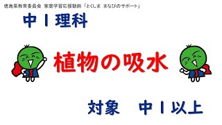 徳島県教育委員会　家庭学習応援動画　～とくしま　まなびのサポート～