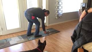 Muzzle training - troubleshooting 1