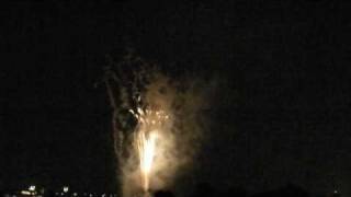 調布花火大会 (Chofu Fireworks Festival 2010)