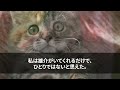 【スカッとする話】ガンで余命半年の母を介護している私に口達者な母「家も遺産も家族いないから寄付するけどいいわね？ｗ」私「どうぞご自由に。私はもうここを売りますので」