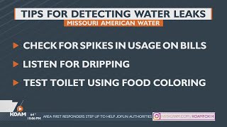This is the EPA's "Fix a Leak Week"