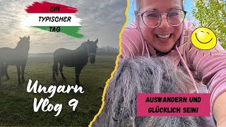 Ungarn-Vlog aus der ungarischen Puszta. Achtsamkeit, Leichtigkeit und ganz viel Liebe!  Leben pur!