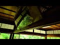 瑠璃光院　青もみじの絶景　kyoto rurikoin temple and new green leaves