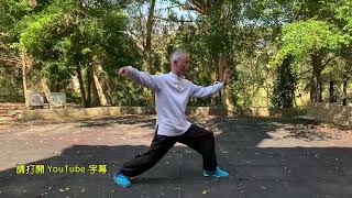 新竹《熊氏太極宇涵堂》 黃國治 講解 蛇身下勢  Tai Chi Snake Creeps Down  Master K.C. Huang